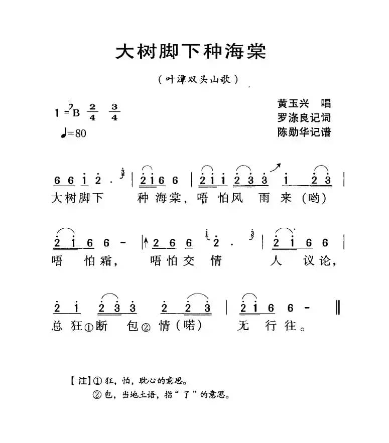 河源民歌：大树脚下种海棠