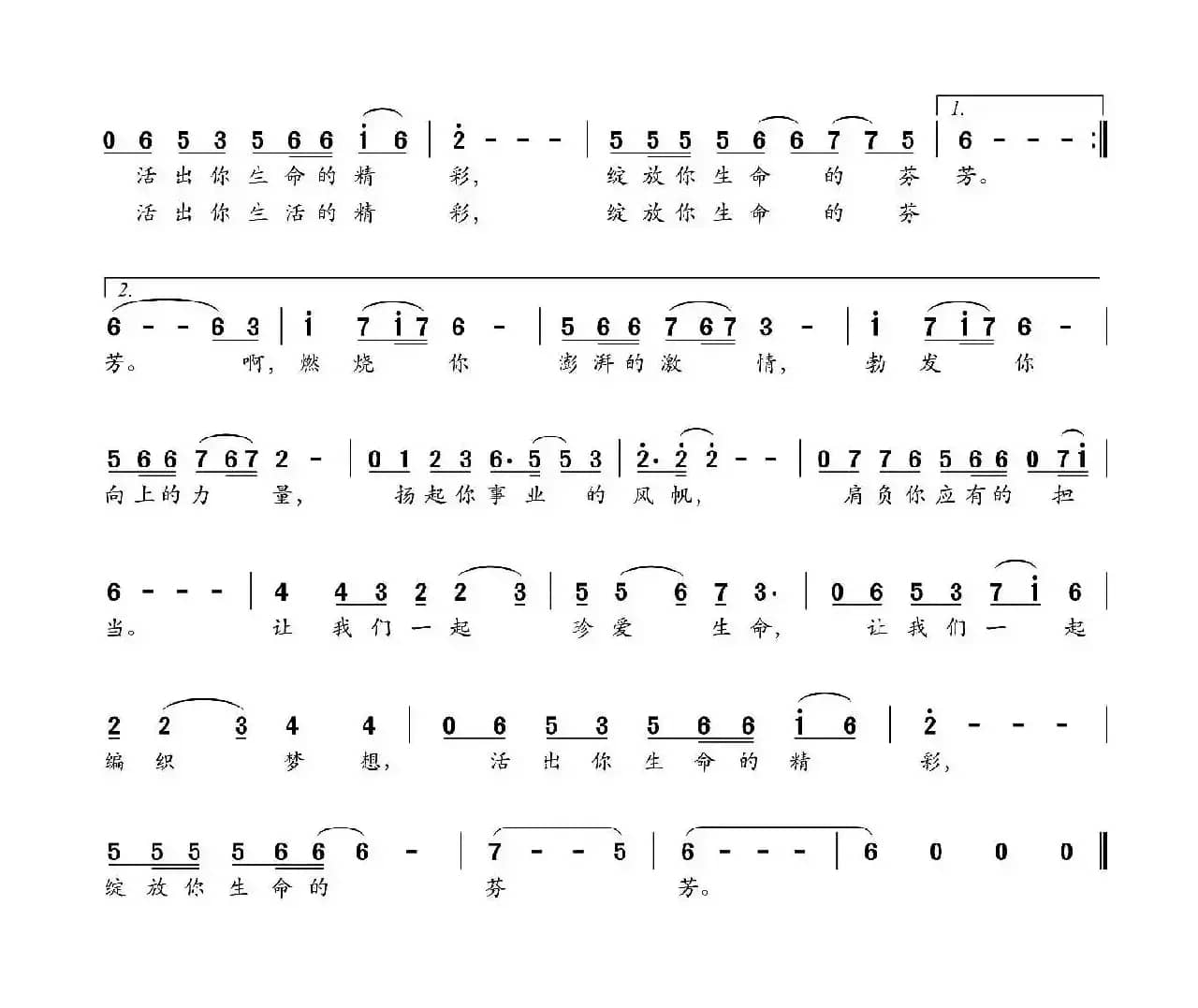 绽放生命的芬芳