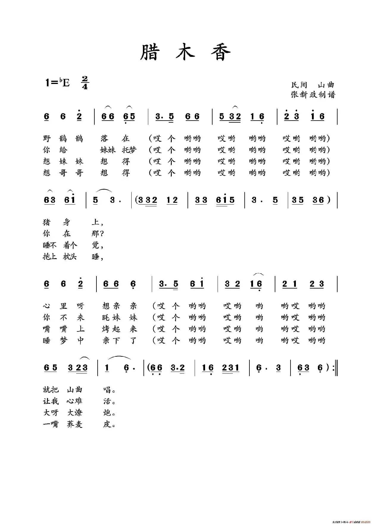 腊木香（山曲）