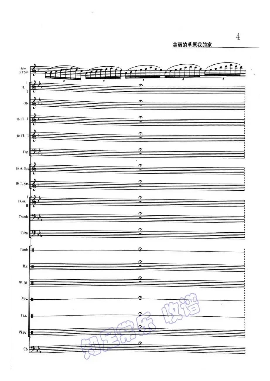 美丽的草原我的家(次中萨克斯与乐队)01-05