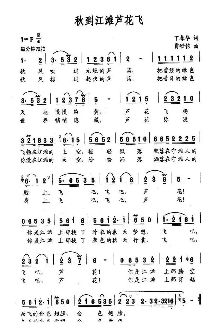 秋到江滩芦花飞