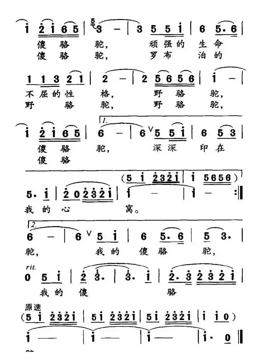 野骆驼 傻骆驼（高枫词 胡绍正曲）