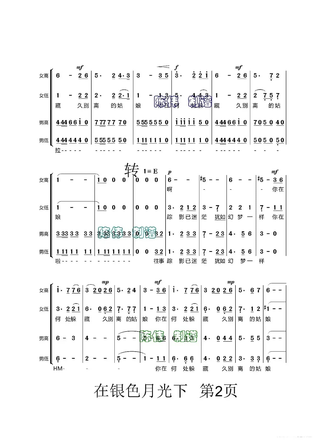 在银色的月光下
