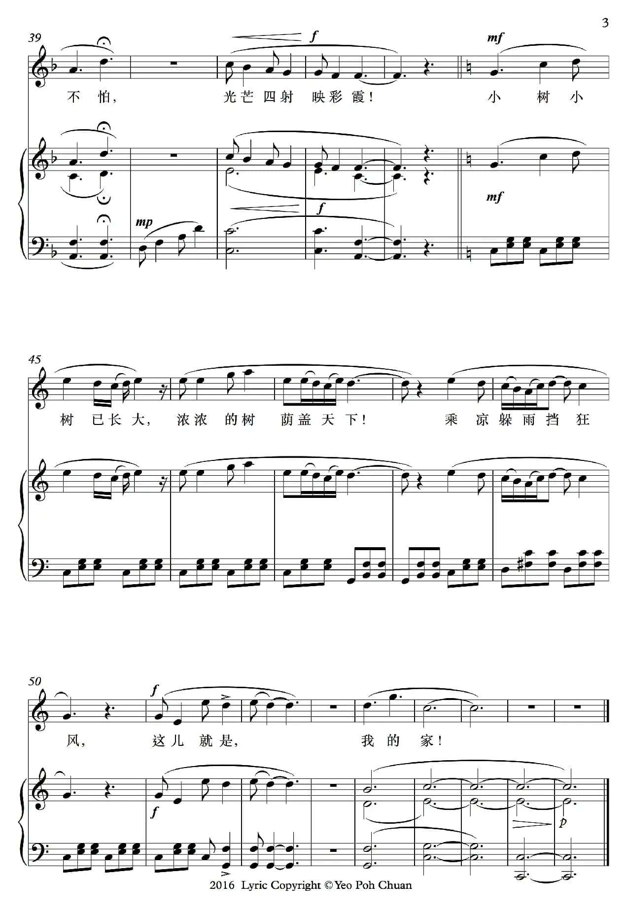 小树小树已长大