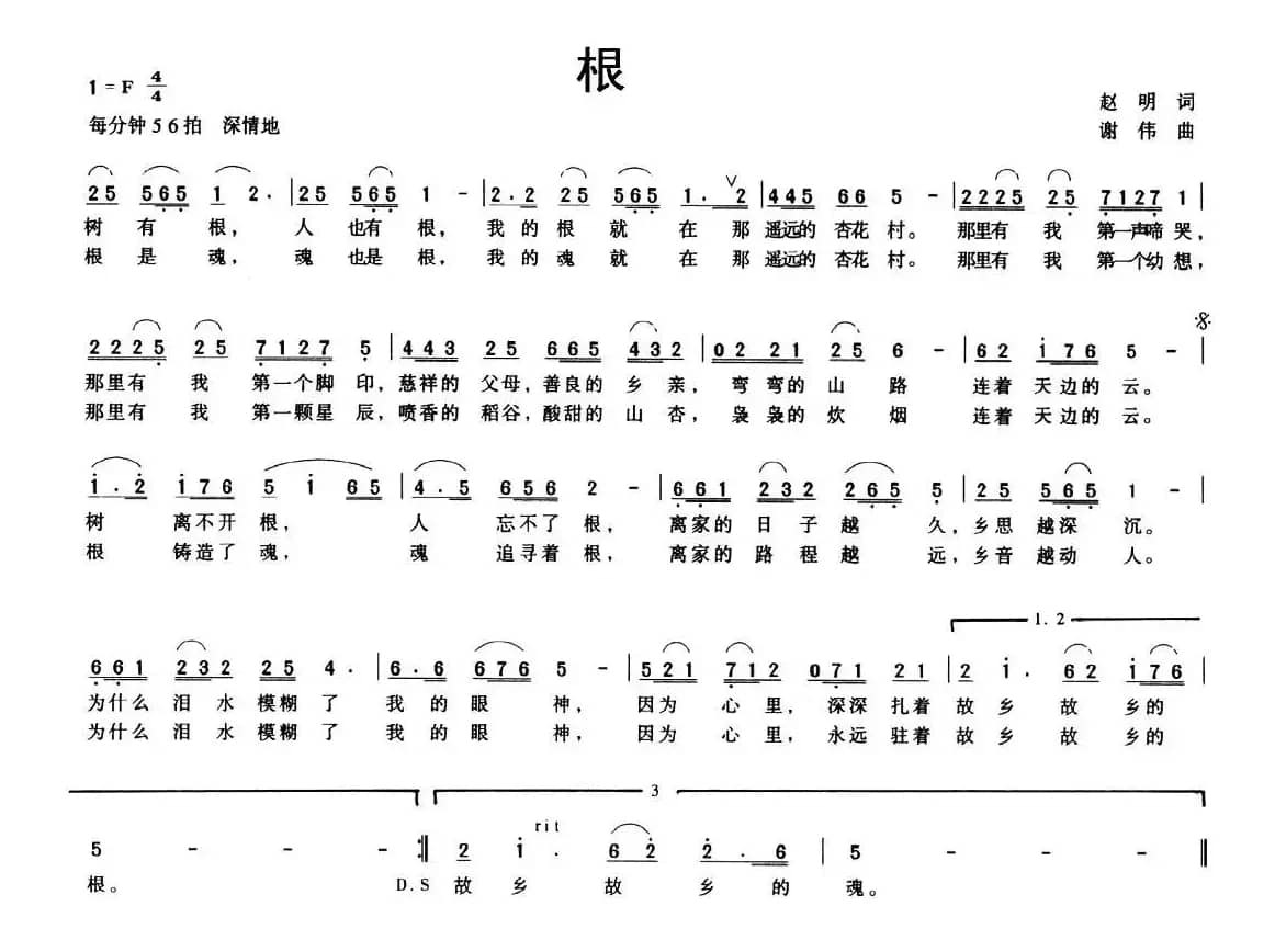 根（赵明词 谢伟曲）