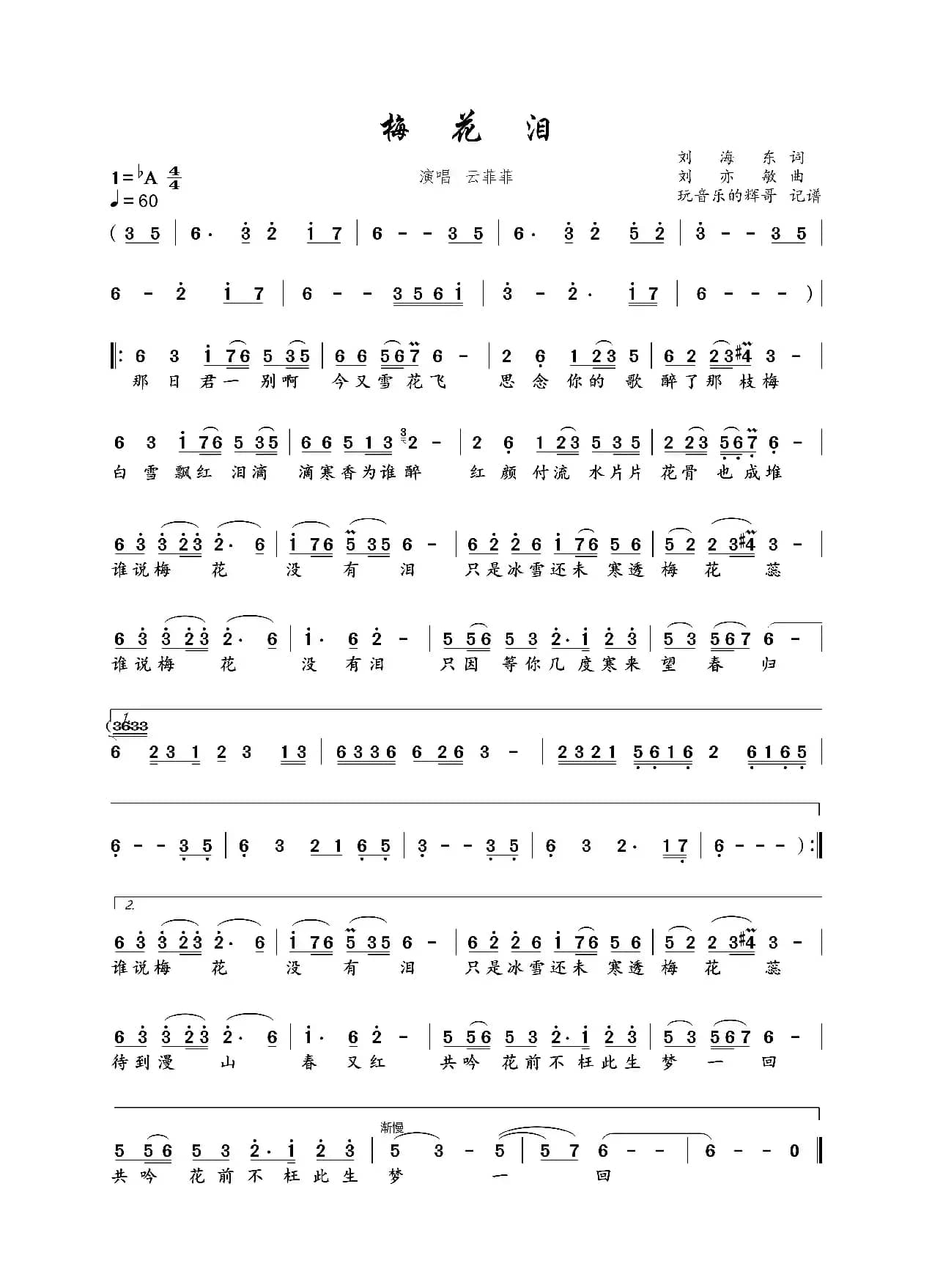 梅花泪（云菲菲）