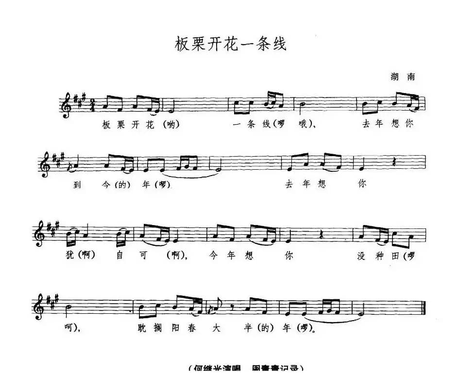 板栗开花一条线(五线谱)