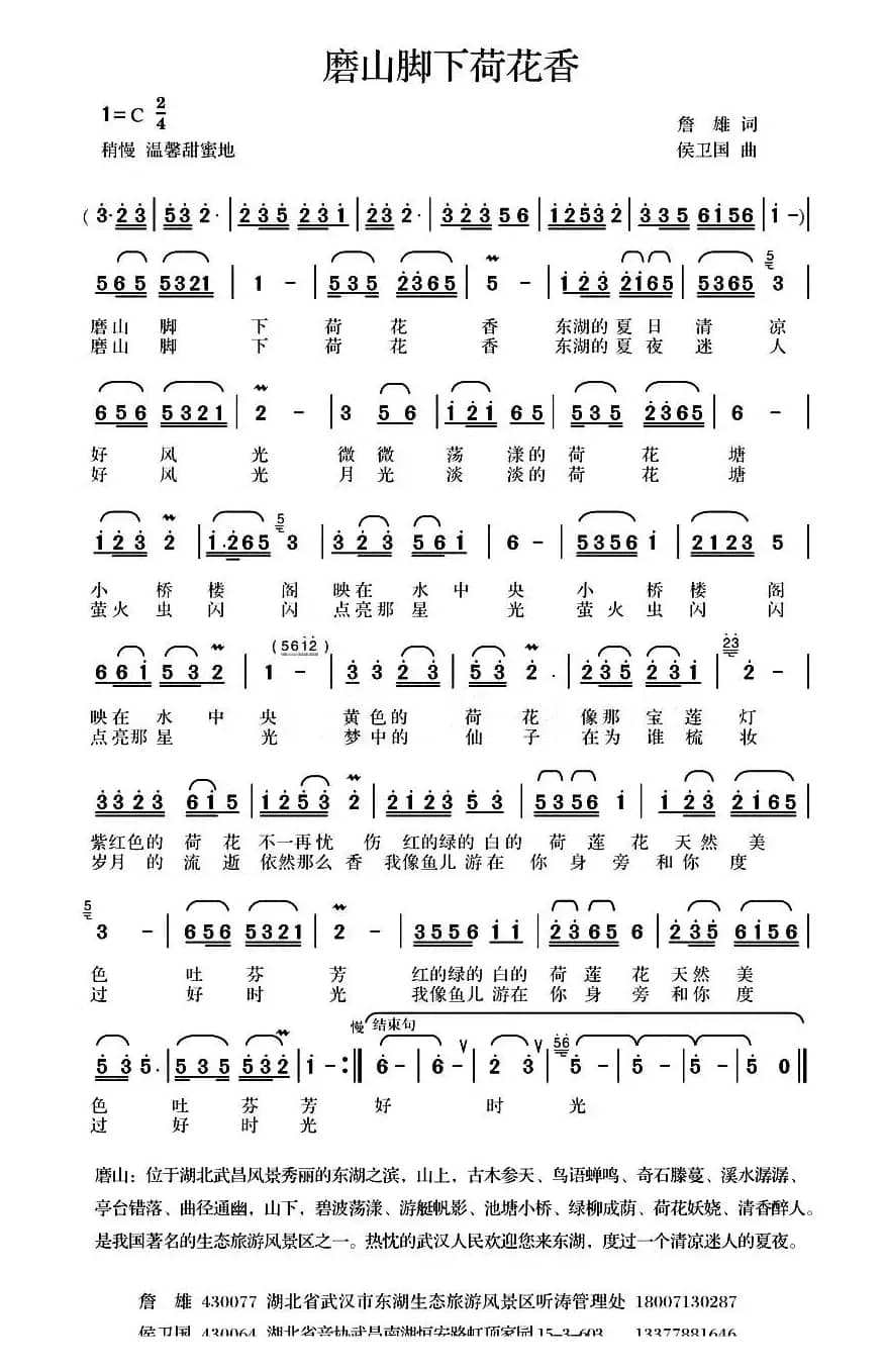 磨山脚下荷花香