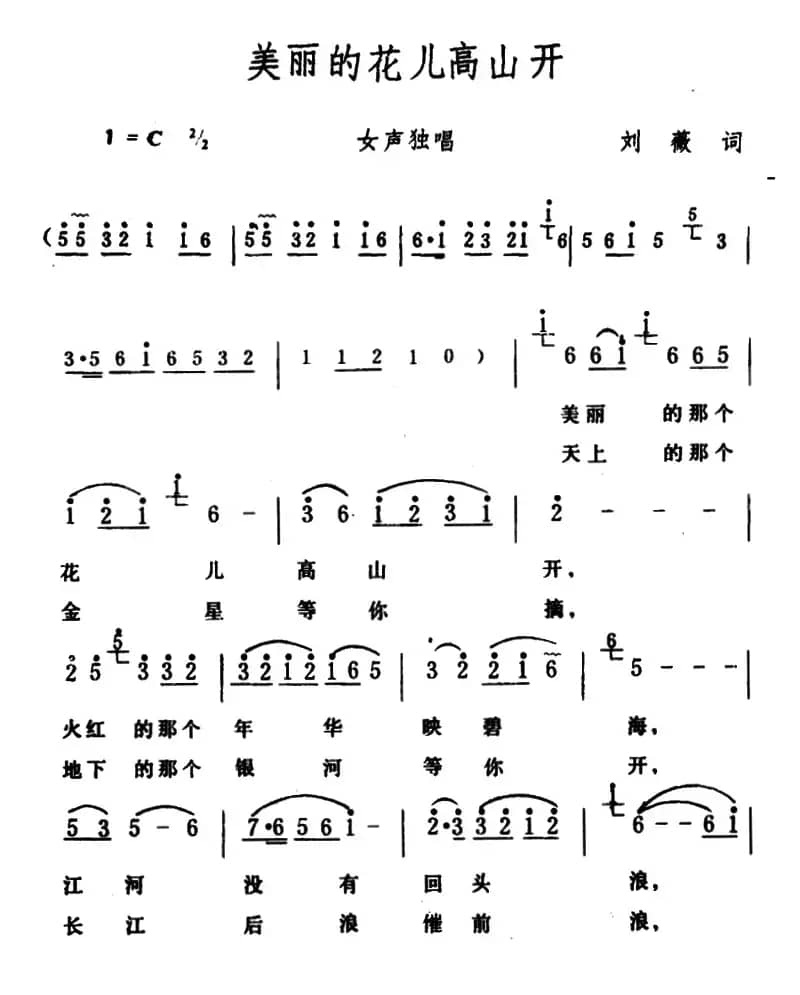 美丽的花儿高山开