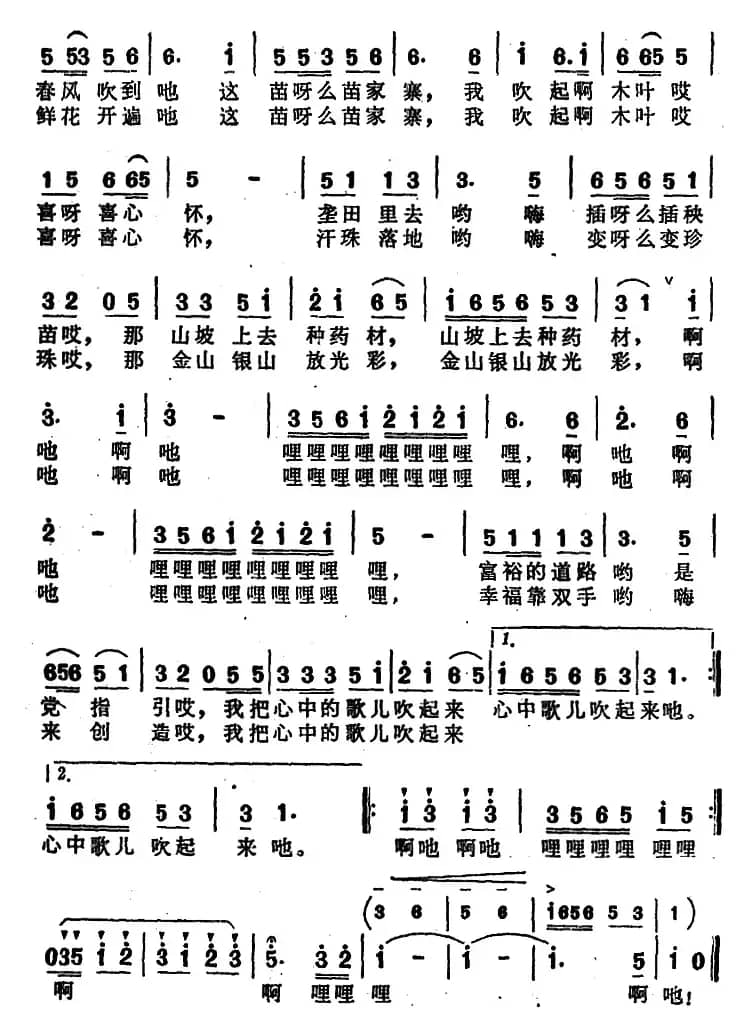 摘片木叶吹起来