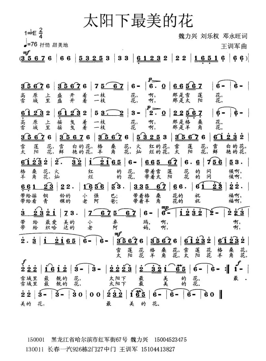 太阳下最美的花