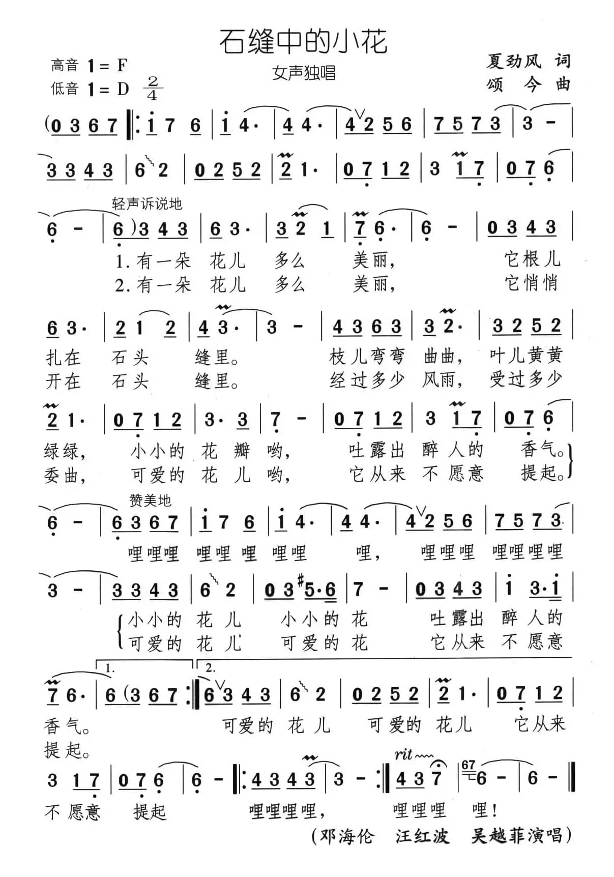 石缝中的小花（又名：石缝小花）