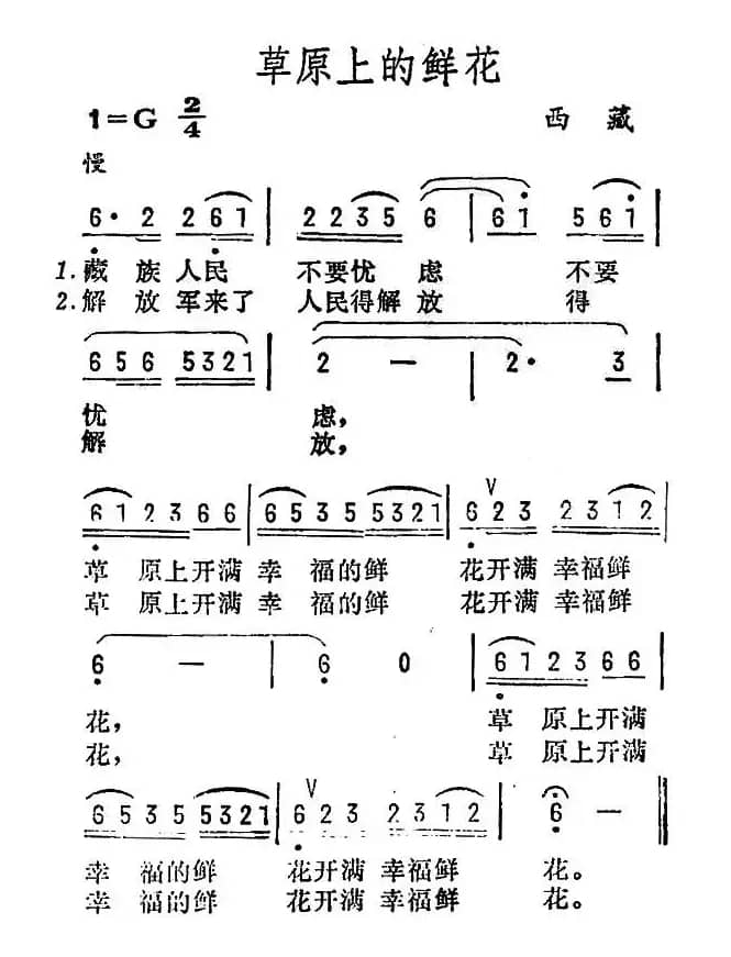 草原上的鲜花（西藏民歌）