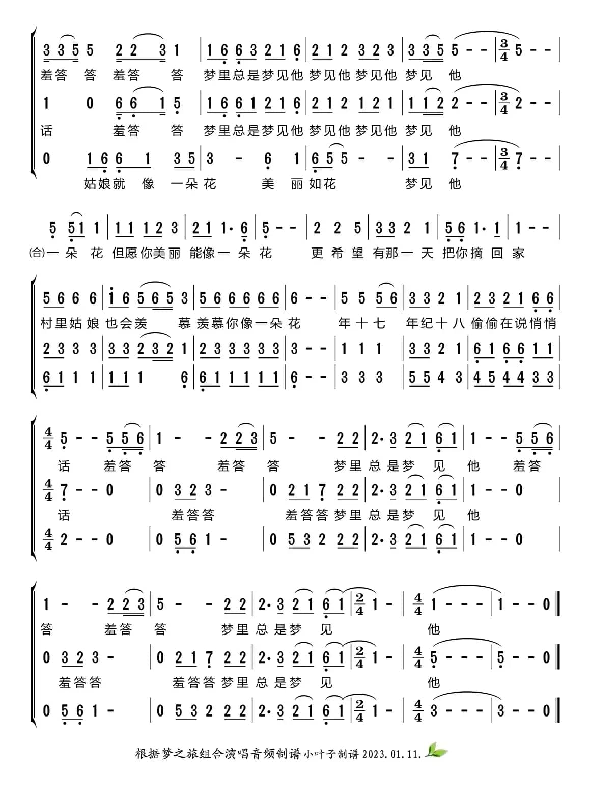 山茶花（梦之旅组合）
