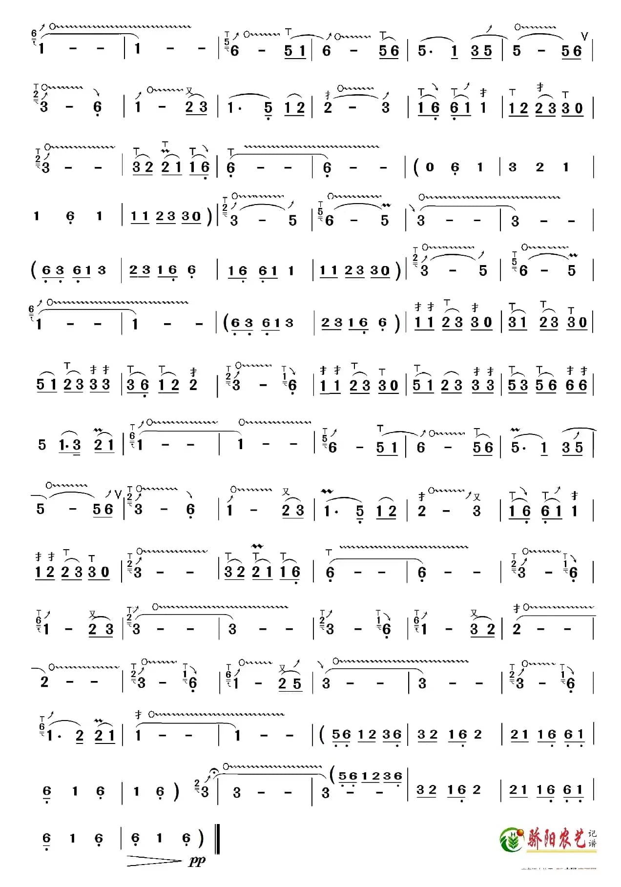 月光下的凤尾竹（葫芦丝独奏-降B调）