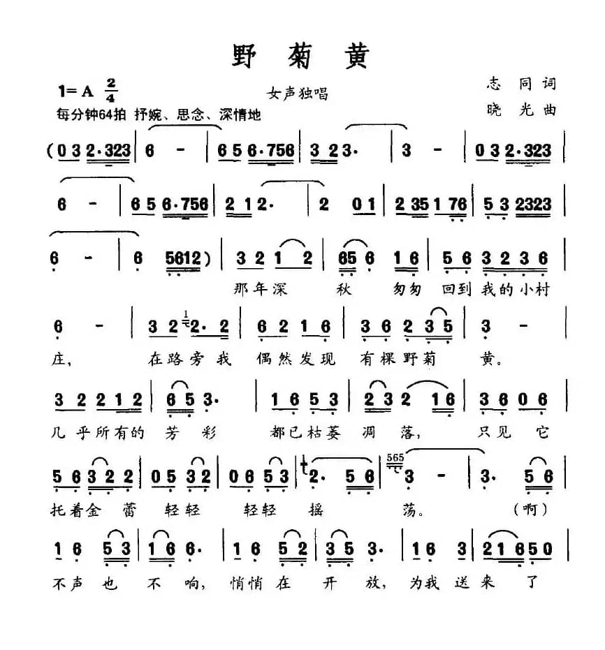 野菊黄（志同词 晓光曲）