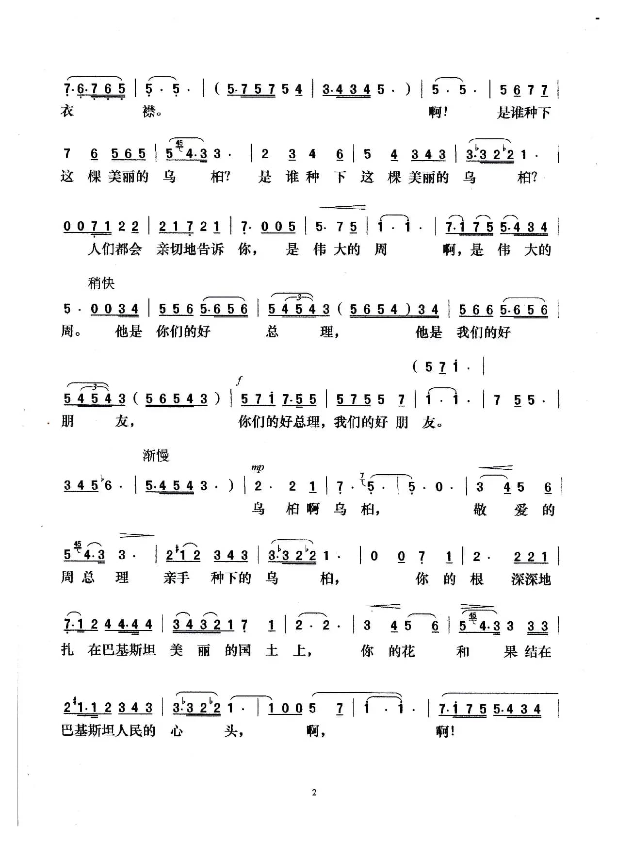 乌桕树下的怀念