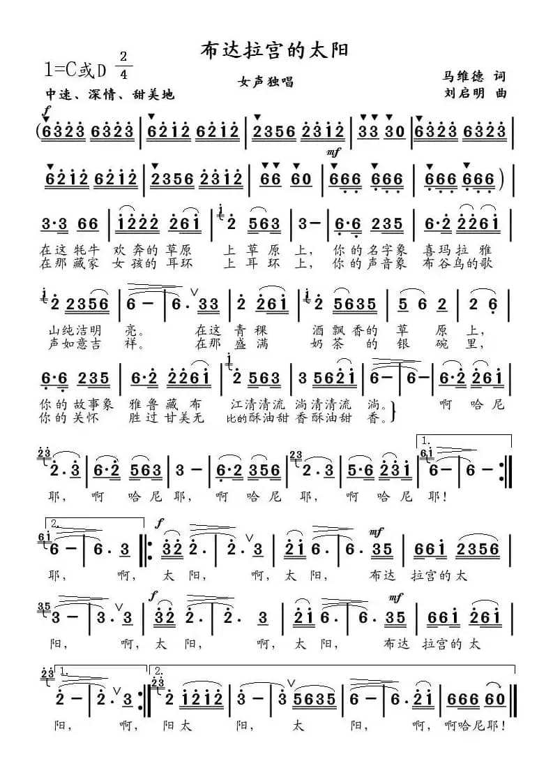 布达拉宮的太阳