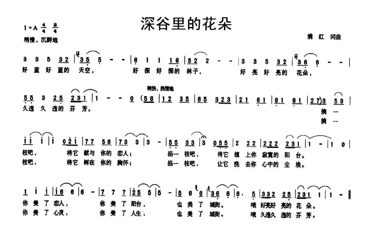 深谷里的花朵