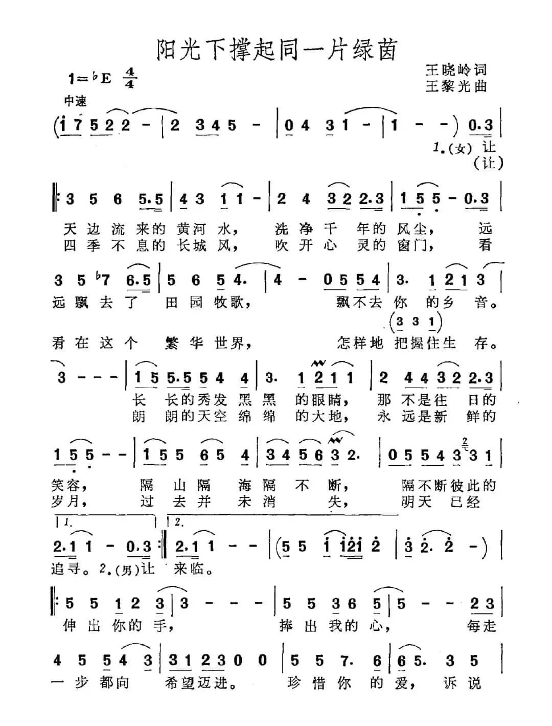 阳光下撑起同一片绿茵