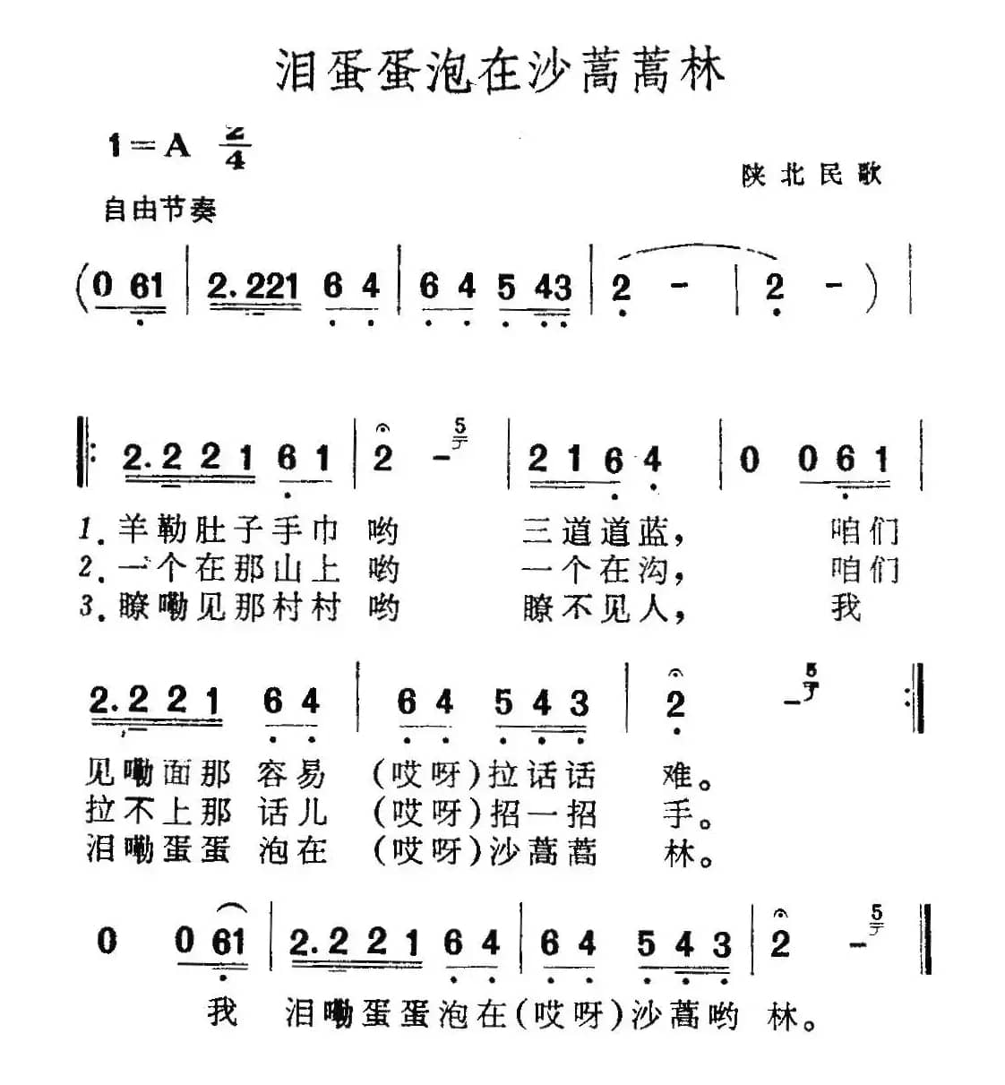 泪蛋蛋泡在沙蒿蒿林