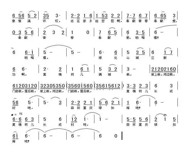 黄角树儿满城栽