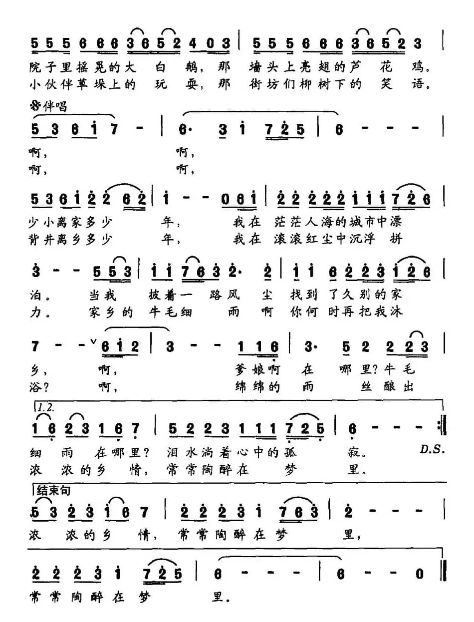 我怀念家乡的牛毛细雨