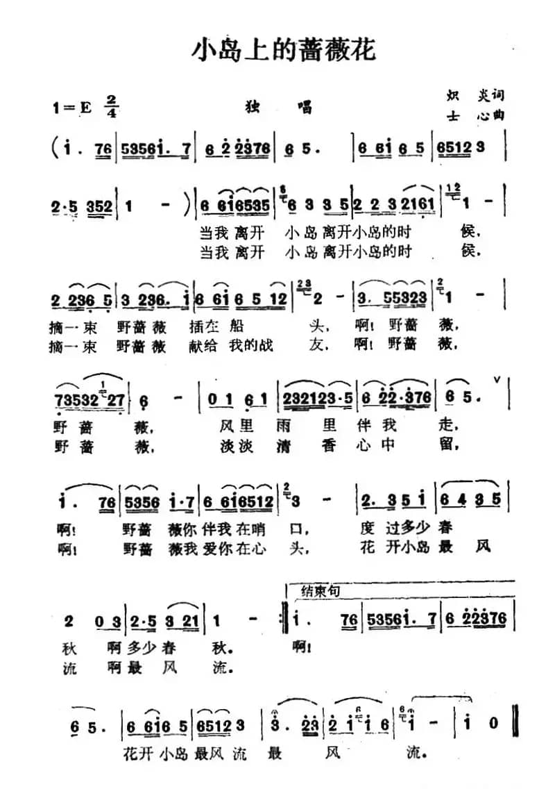 小岛上的蔷薇花