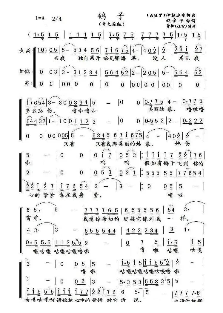 鸽子（梦之旅版）