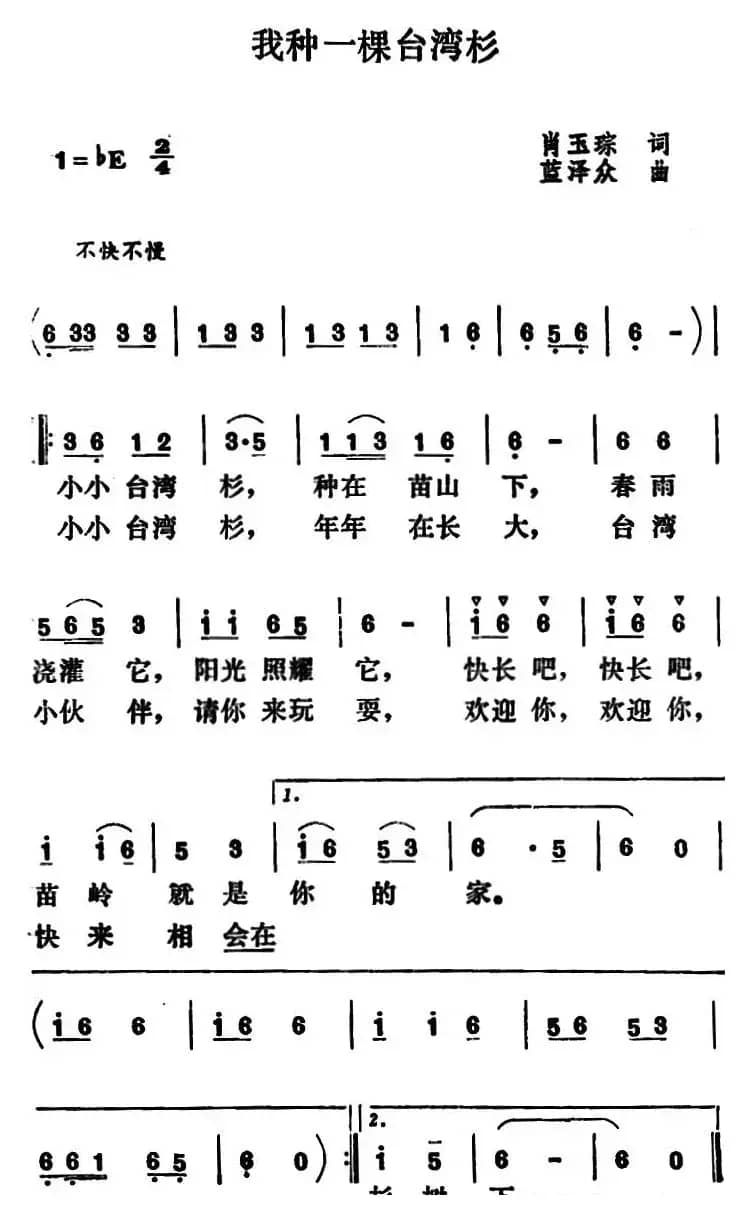 我种一棵台湾杉