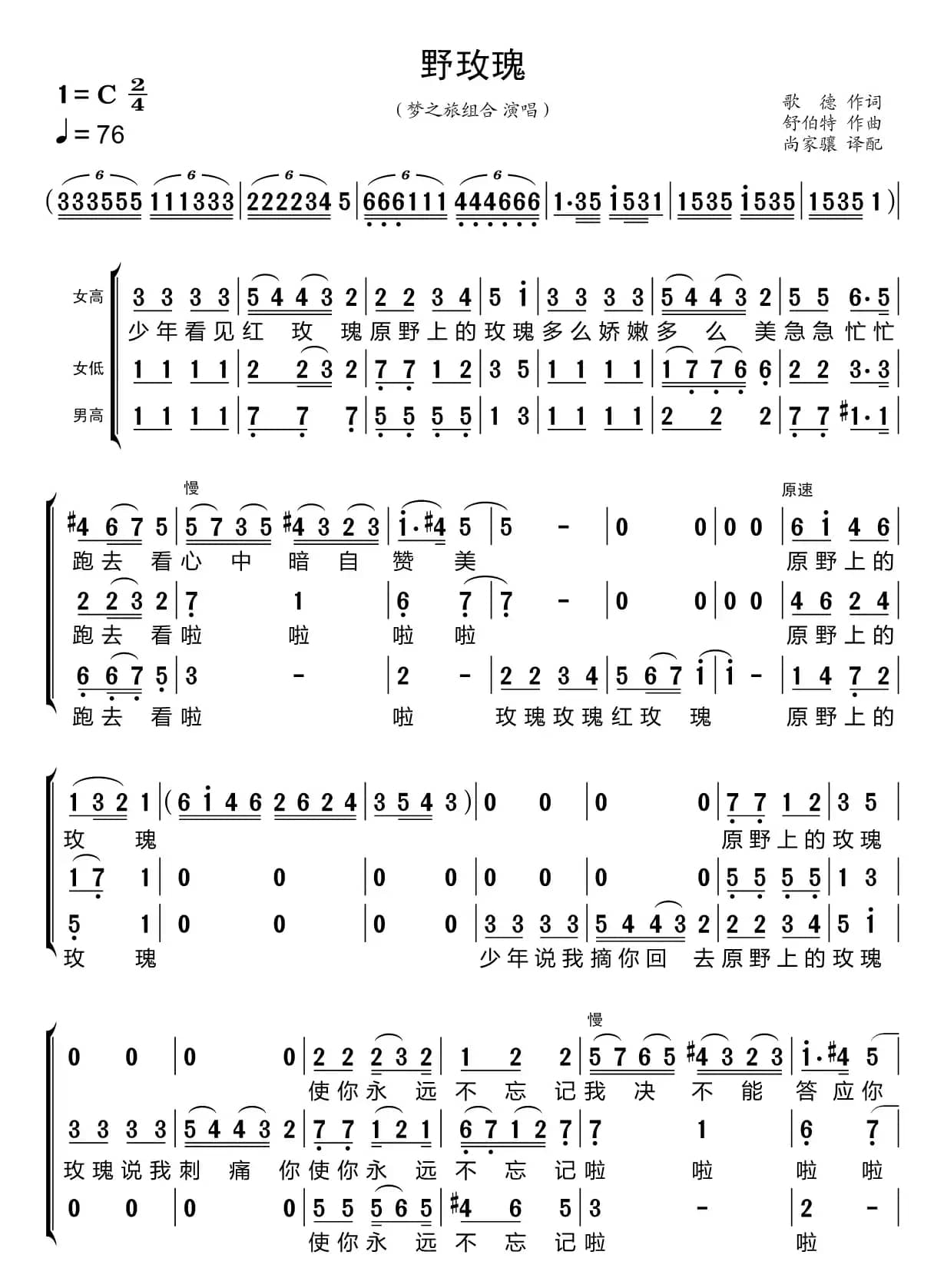 野玫瑰（梦之旅组合）