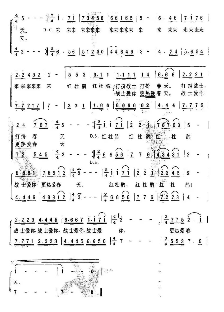 战士·杜鹃·春天（女声二重唱）