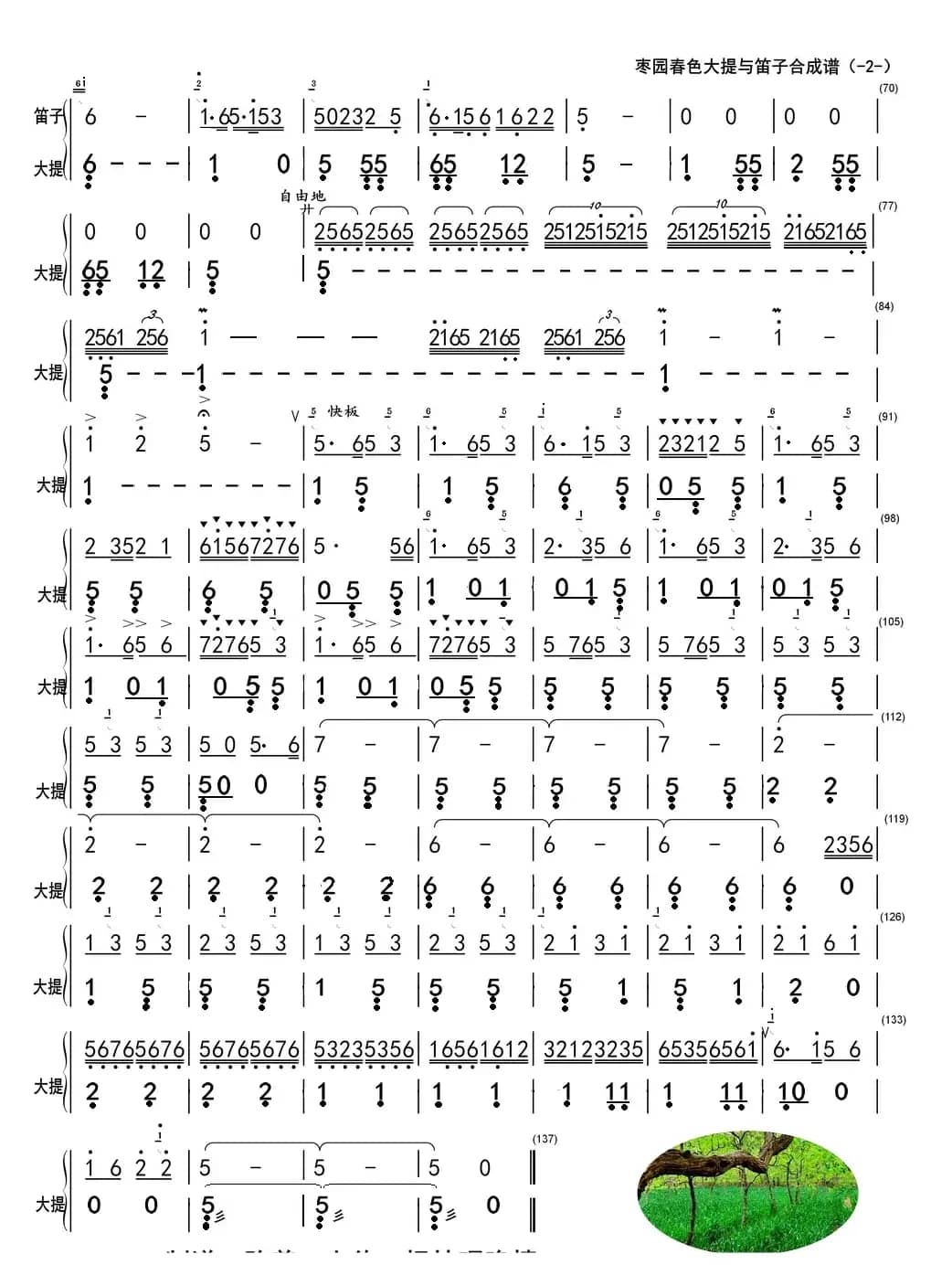 枣园春色（大提与笛子主旋合成谱）