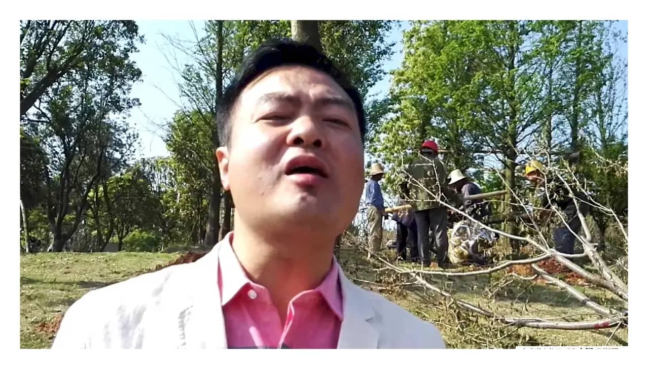 难为地又难为天