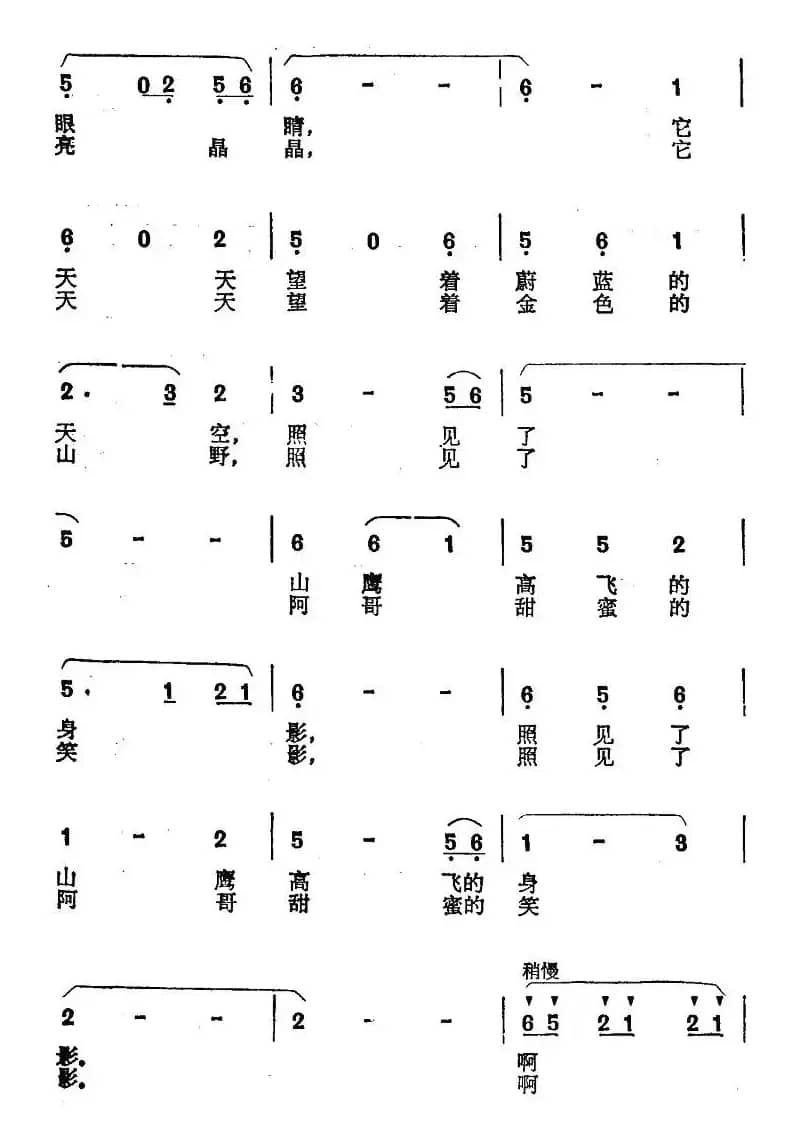 泉水一样的眼睛