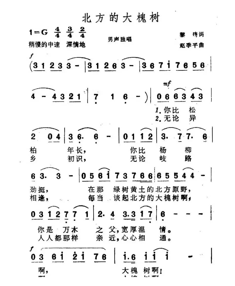 北方的大槐树（黎琦词 赵季平曲）