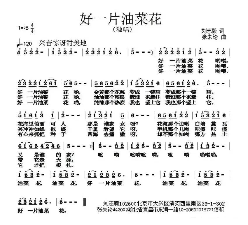 好一片油菜花（刘志毅词 张朱论曲）