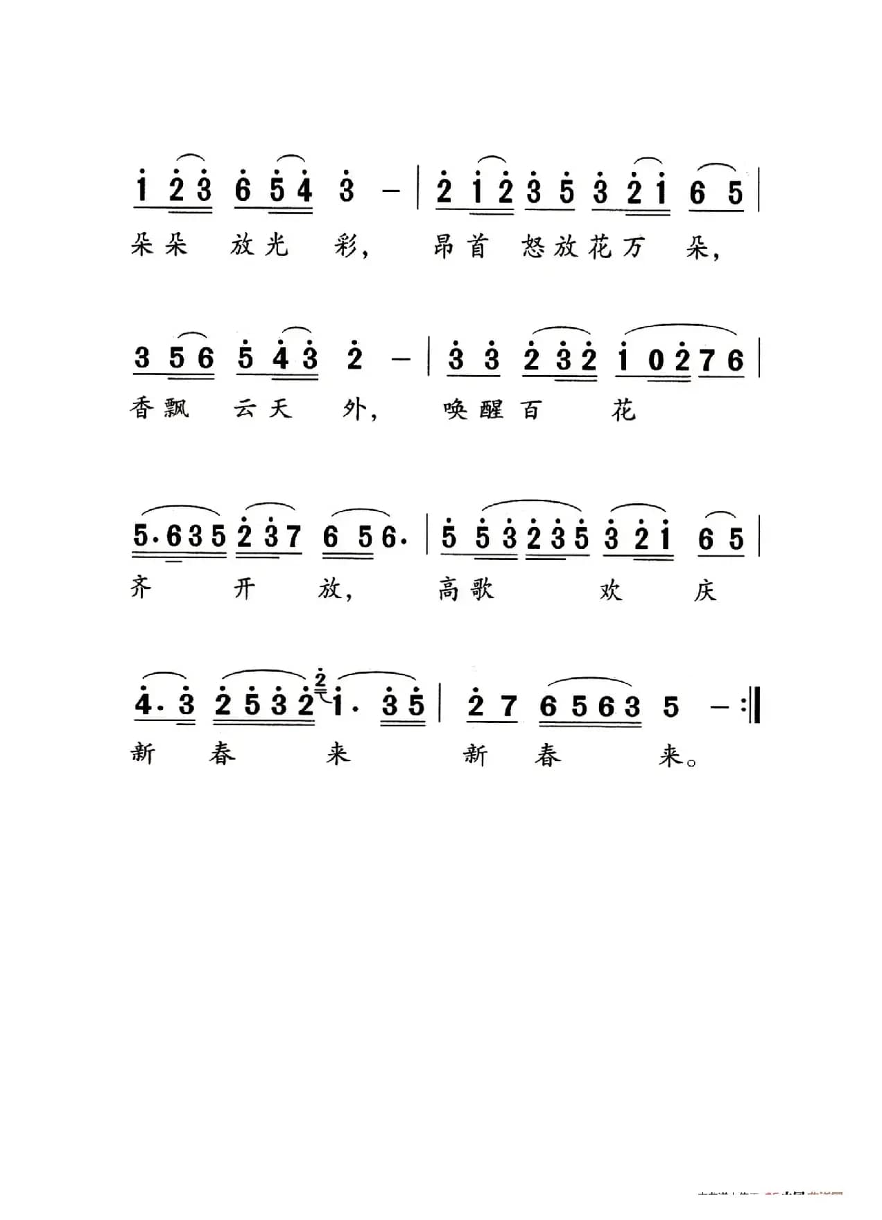 红梅赞（老人适用）