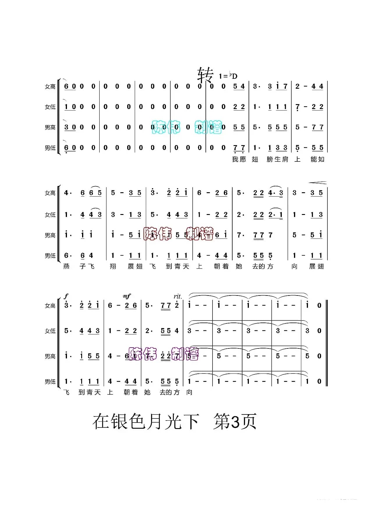 在银色的月光下