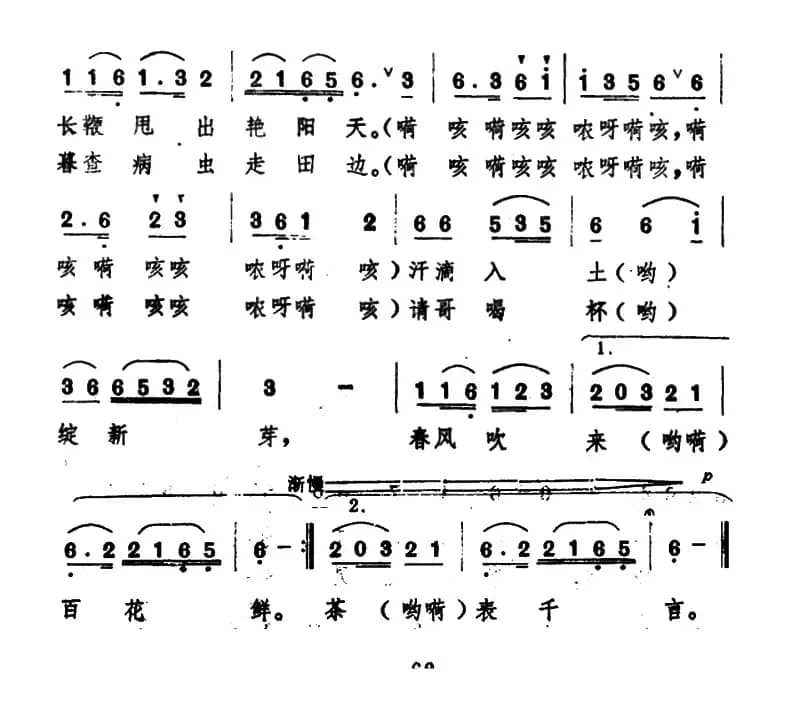 我送花茶到田边