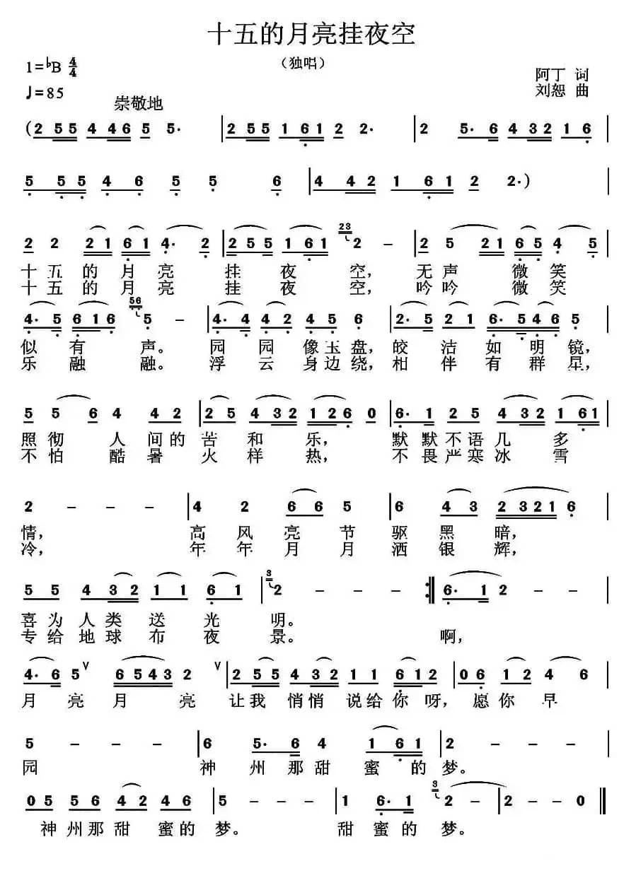 十五的月亮挂夜空