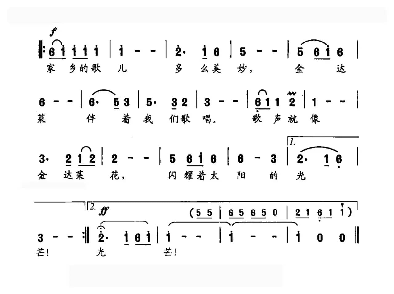 金达莱盛开怒放