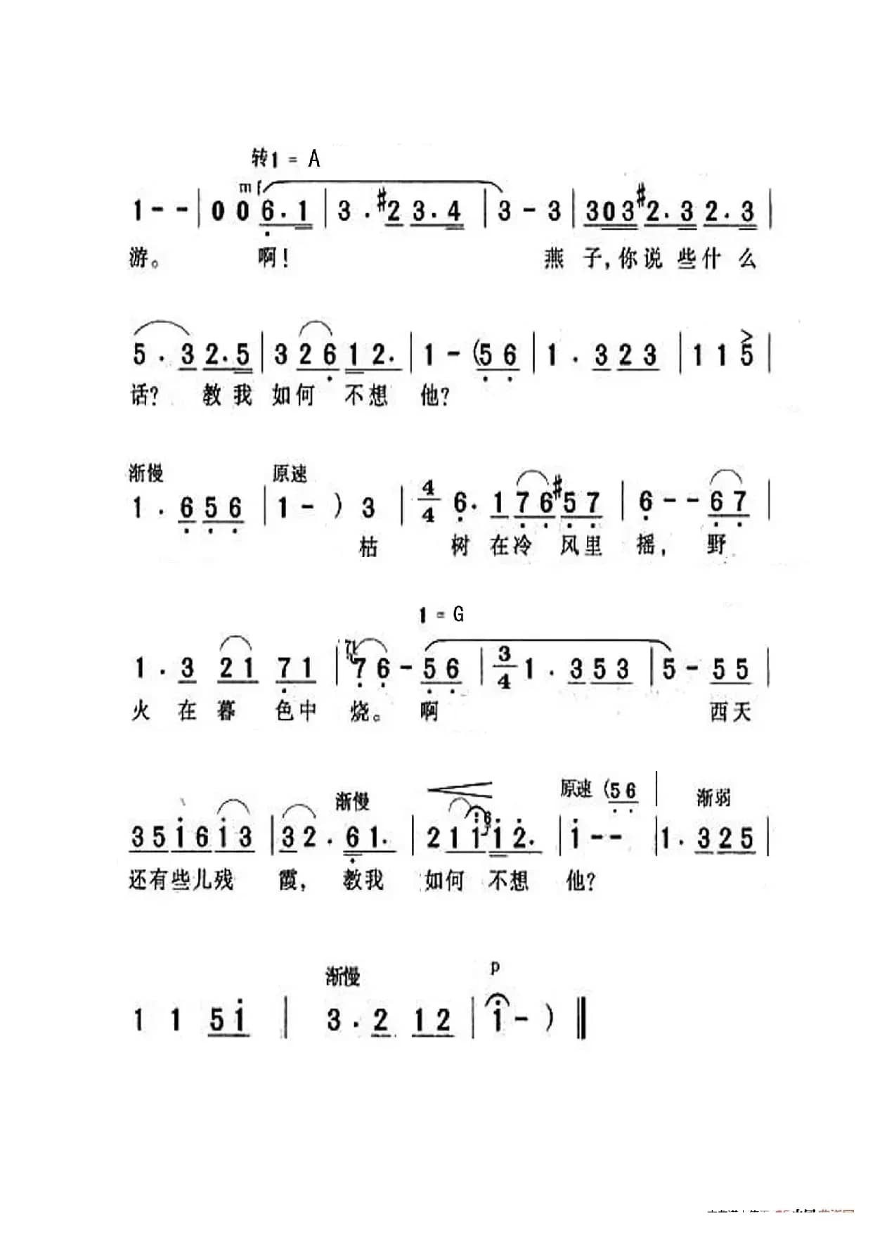 教我如何不想他（老人适用）