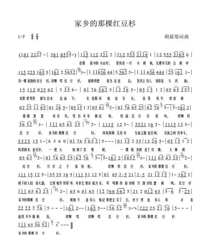 家乡的那棵红豆杉