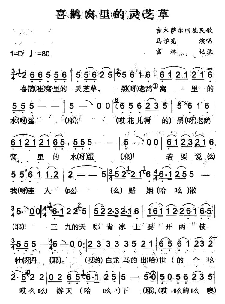 喜鹊窝里的灵芝草（吉木萨尔回族民歌）