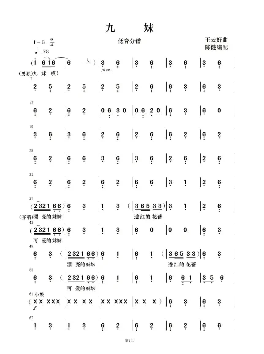 九妹（民乐合奏）