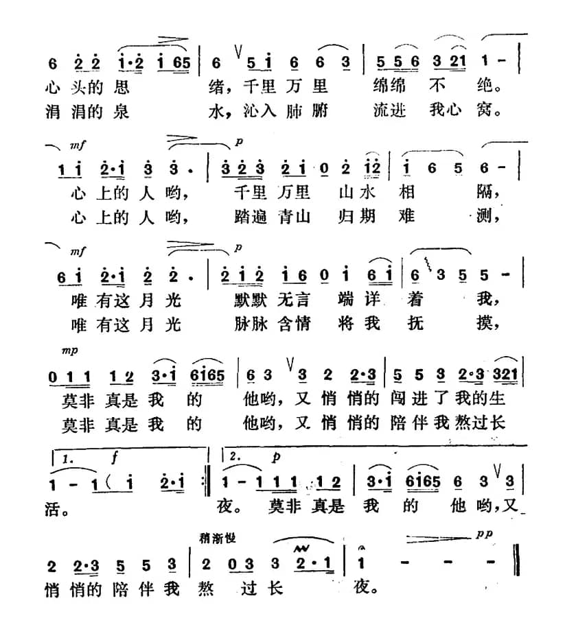 今夜的月色多皎洁