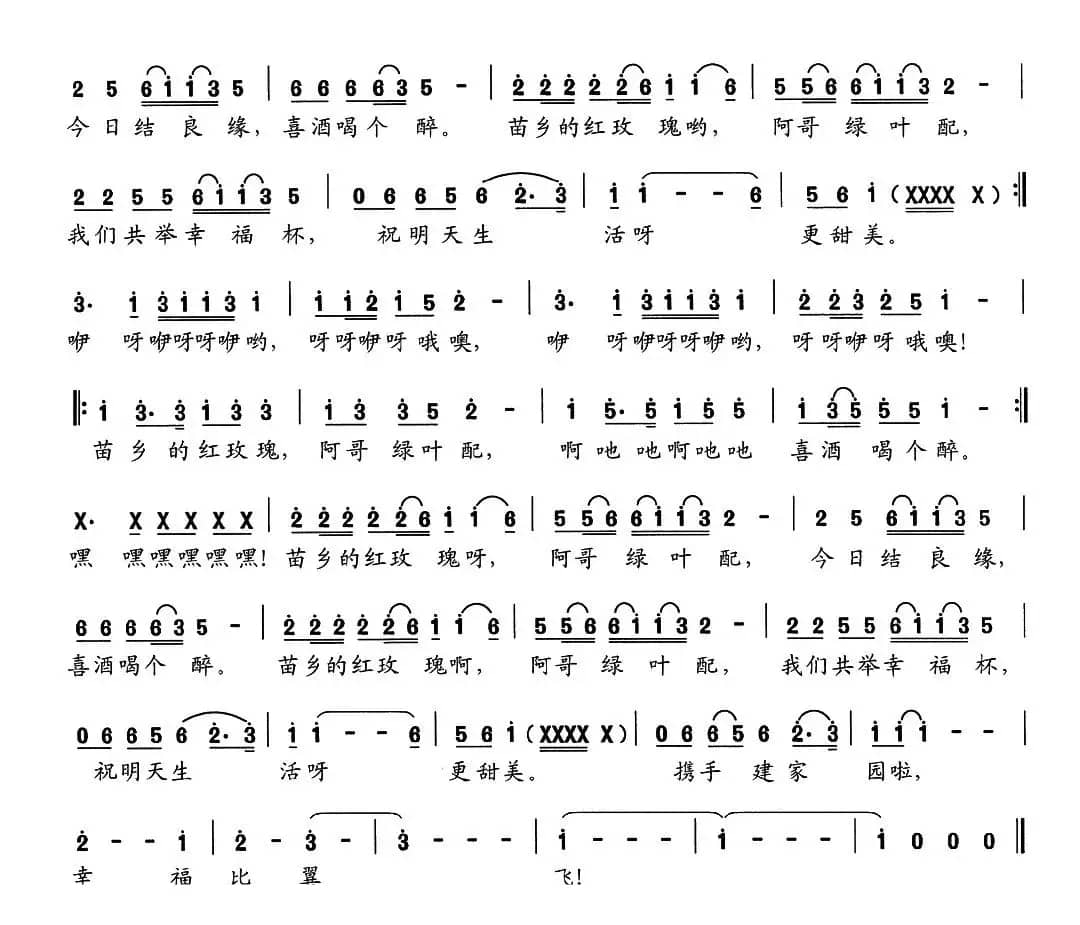 娶朵苗乡的红玫瑰