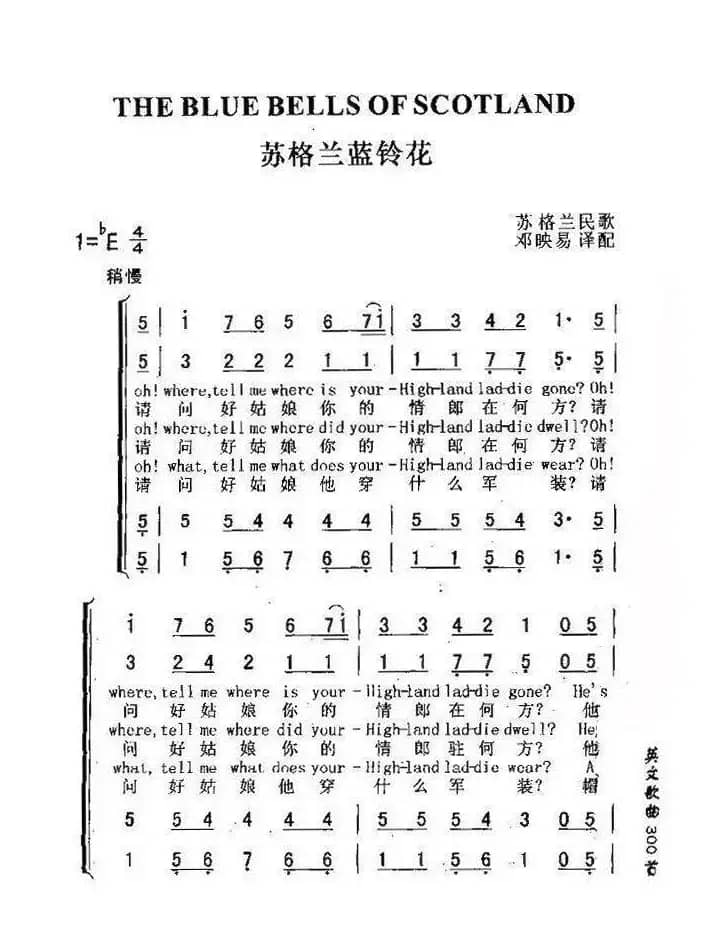 苏格兰的蓝铃花