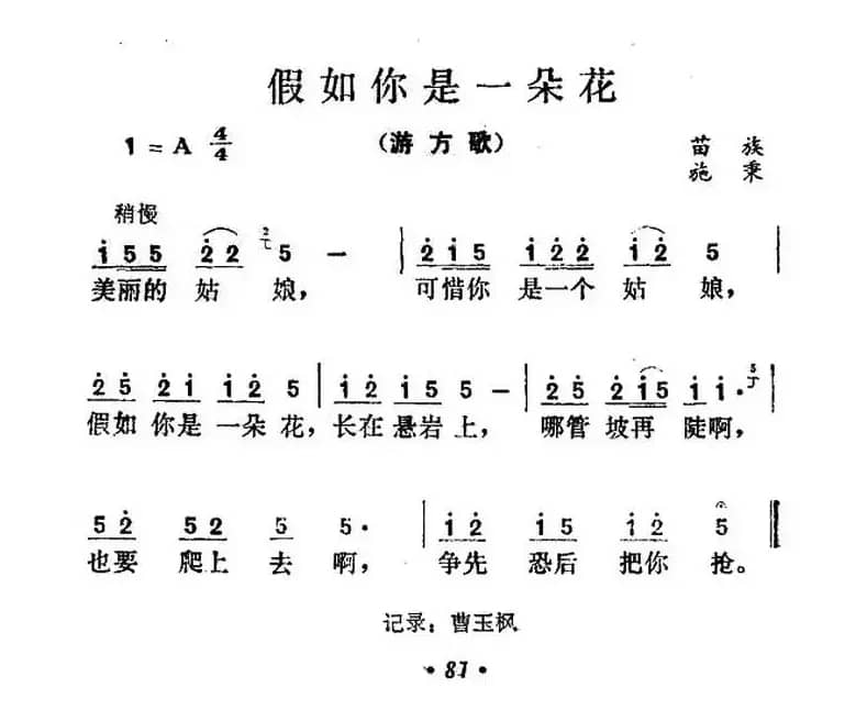 假如你是一朵花